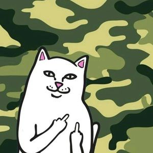 Meet your Posher, Queen